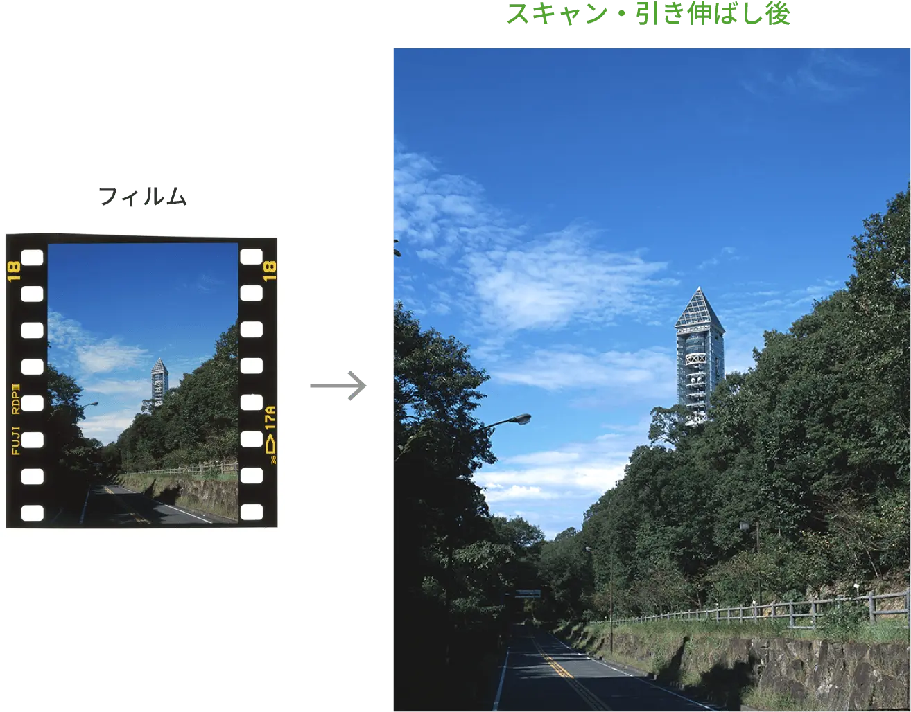 写真:デジタル化